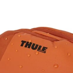 Thule Chasm 26L Backpack -Dakine Store AUT D9