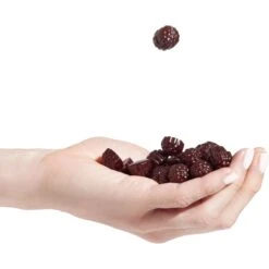 Chill Chews -Dakine Store BLA D3 80