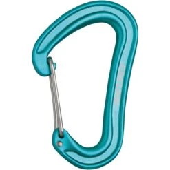 Edelrid Nineteen G Carabiner